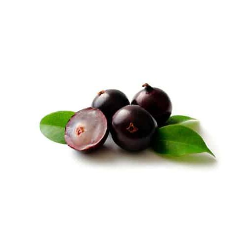 Jabuticaba